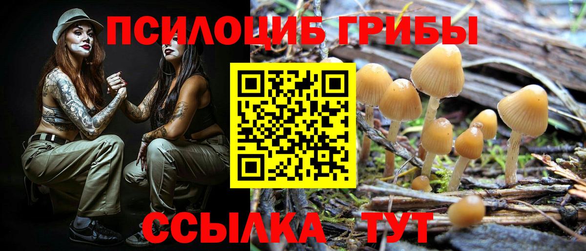 Псилоцибиновые грибы GOLDEN TEACHER Ликино-Дулёво
