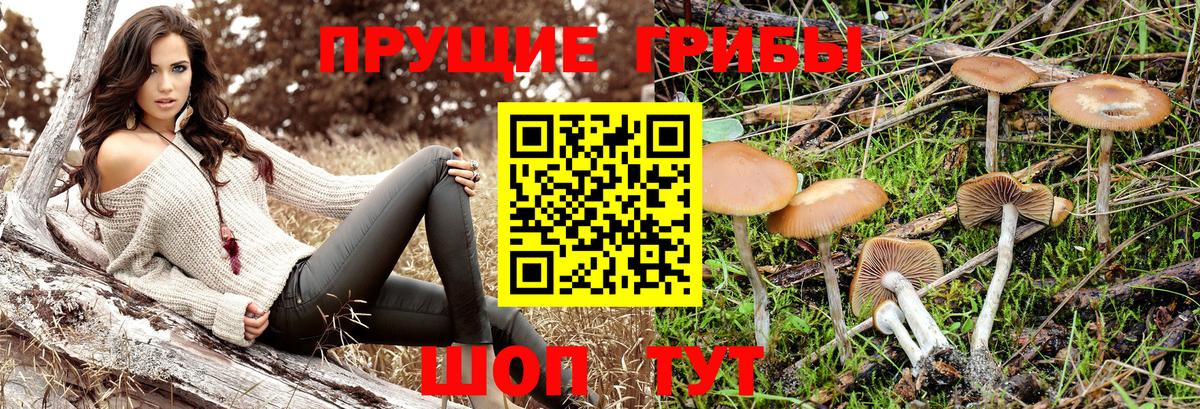 Псилоцибиновые грибы Psilocybine cubensis  Галлюциногенные грибы Psilocybe  Ликино-Дулёво  Вход с VPN 